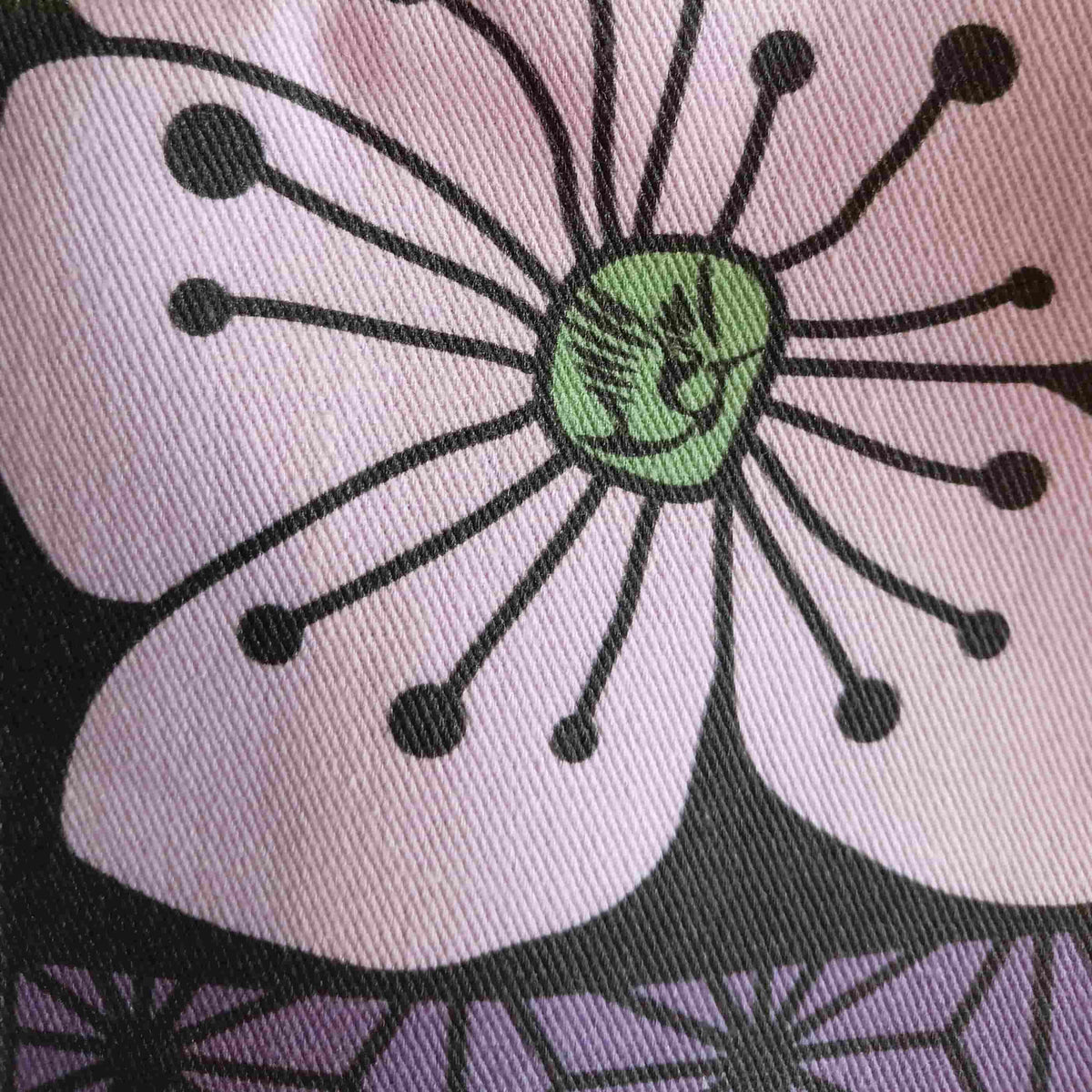 Okina Kozu Parme