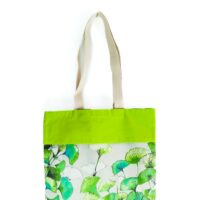 Biloba Vert Anis